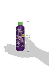 J R Peters Inc 50708 Jacks Classic Liquid Orchid Food, 8-Ounce