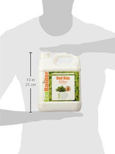 EcoRaider Bed Bug Killer Spray 1 Gallon Jug, Green + Non-toxic, 100% Kill + Extended Protection