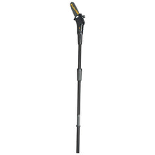 Poulan Pro 967044201 40V Pole Saw, 8"