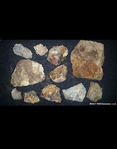 1 LB Genuine Colorado Gold Ore