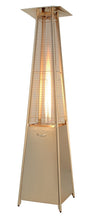 AZ Patio Heaters HLDS01-GTSS Quartz Glass Tube Patio Heater