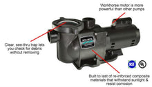 Pentair Sta-Rite N1-3/4A HP SuperMax Standard Efficient Single Speed High Performance Inground Pool Pump, 3/4 HP, 115/230-Volt