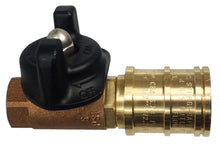 1/2&quot; Ball Valve Quick Disconnect (Natural or LP Gas)