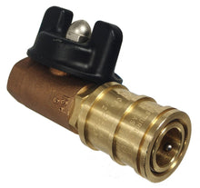 1/2&quot; Ball Valve Quick Disconnect (Natural or LP Gas)