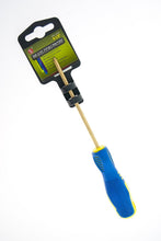 SE GP3-19CP 9.5" Brass Coin Probe
