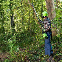 Greenworks PRO 10-Inch 80V Cordless Pole Saw, 2.0 AH Battery Included PS80L210