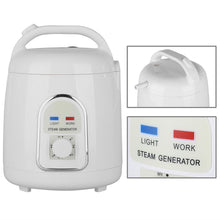 Portable Steam Sauna, Home SPA Health Care Personal Therapeutic Slim Weight Loss Indoor 850W US Plug