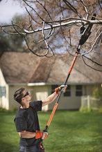 Remington RM1025P Ranger 10-Inch 8 Amp 2-in-1 Electric Chain Saw/Pole Saw Combo
