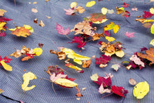Robelle 443050R Standard Leaf Net for 30 by 50 Foot In-Ground Pools