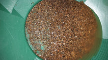 1 LB Gold Paydirt Colorado - Unsearched Gold Paydirt - Pan At Home - Guaranteed Gold