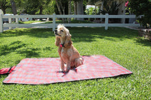 Beach Blanket for Picnic Basket Sets at a Festival Red