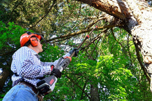 Oregon Cordless 40V Max PS250-E6 Pole Saw with 2.4 Ah Battery and Standard Charger
