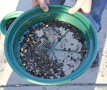 SE GP2-14 Patented Stackable 13-1/4" Sifting Pan, 1/4" Mesh Screen